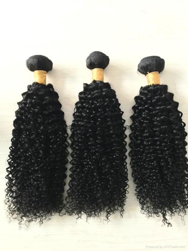 8A unprocessed virgin hair brazilian virgin hair curly 3 bundles free shipping