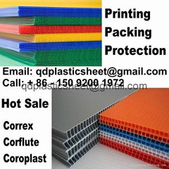 PP Fluted Sheet / Fluted Polypropylene Sheet for Floor Protection