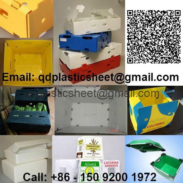 Corrugated Plastic Box / Corrugated Plastic Carton 2