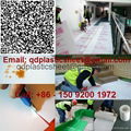 Corrugated PP Sheet / Corrugated Plastic Sheet for Floor Protection 3