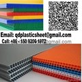 PP Plastic Corrugated Sheet in Polypropylene Corrugated 5