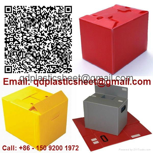 PP Corrugated Plastic Box for Vegetable Produce Packing