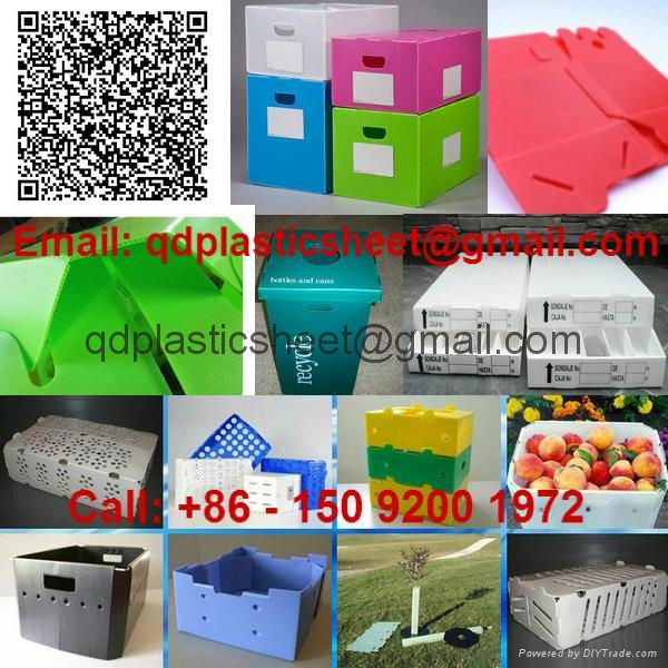PP Corrugated Plastic Box for Vegetable Produce Packing 4