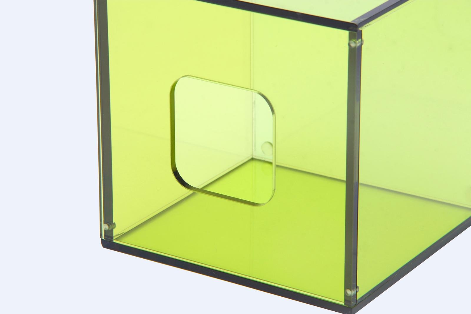Plexiglass acrylic serving tray case