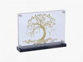 Acrylic Photo Display Table Display