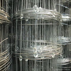 Galvanized Field Fence