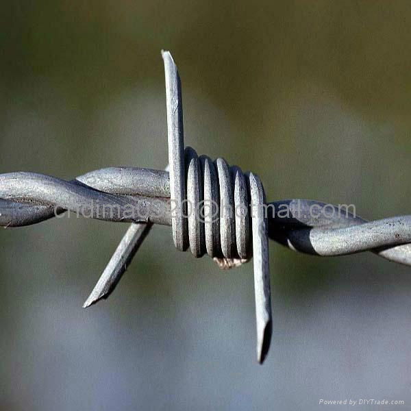 Galvanized Barbed Wire Manufacturer  2