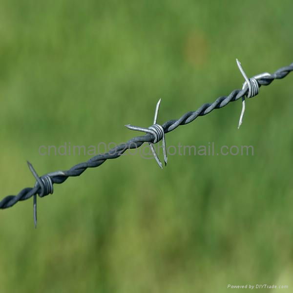 Galvanized Barbed Wire Manufacturer  3