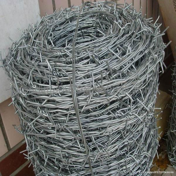 Galvanized Barbed Wire Manufacturer  4