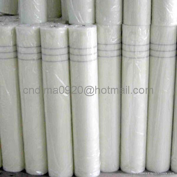 Fiberglass Mesh 4