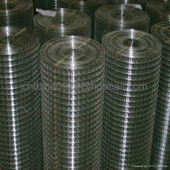 Galvanized and PVC Coated Welded Wire Mesh 