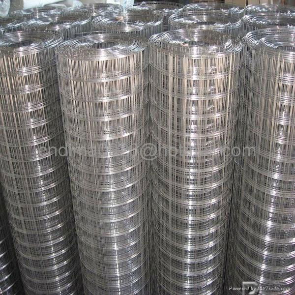 Galvanized and PVC Coated Welded Wire Mesh  2