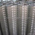 Galvanized and PVC Coated Welded Wire Mesh  2