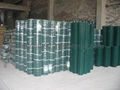 Galvanized and PVC Coated Welded Wire Mesh  5
