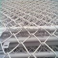 PVC Coated And Galvanized Chain Link Fence  3