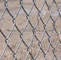 PVC Coated And Galvanized Chain Link Fence  4
