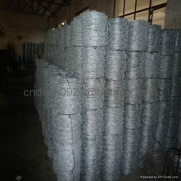 Galvanized Barbed Wire Manufacturer  5