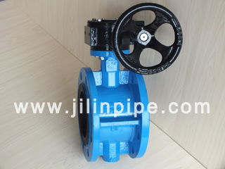 Flange Type Butterfly Valve 2
