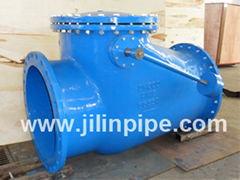 Flanged swing check valve