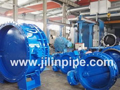 Flange Type Butterfly Valve