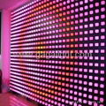 Led Display/led curtain screen/led pixel screen/led light