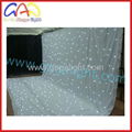 Led star curtain screen/led display/led screen