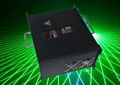 OEM Green DMX512 Laser Man Show 2000mw for Club Disco Holiday Demo