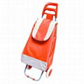 shopping trolley bag