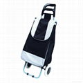 shopping trolley bag