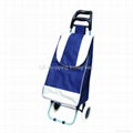 shopping trolley bag