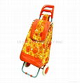 shopping trolley bag