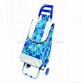 shopping trolley bag