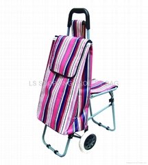 shopping trolley with seat