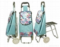 shopping trolley with seat