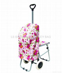 trolley cooler bag