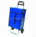 shopping trolley bag