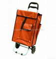 shopping trolley bag