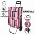 shopping trolley bag