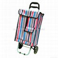 shopping trolley bag