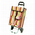 shopping trolley bag