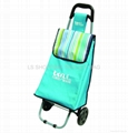 shopping trolley bag