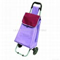 shopping trolley bag