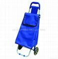 shopping trolley bag