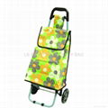 shopping trolley bag