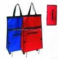 foldable shopping bag 4
