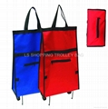 foldable shopping bag