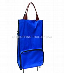 shopping bag