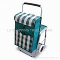 shopping trolley with chair