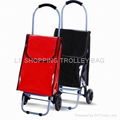 PVC shopping trolley bag 5