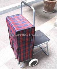 shopping bag with wheels